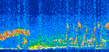 /calipso-imagery/data/BROWSE/production/V5-00/2011-02-24/2011-02-24_12-27-28_V5.00_2_thmb.png image missing