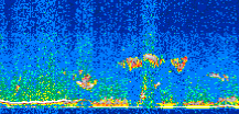 /calipso-imagery/data/BROWSE/production/V5-00/2011-02-24/2011-02-24_15-45-13_V5.00_2_thmb.png image missing