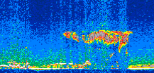 /calipso-imagery/data/BROWSE/production/V5-00/2011-03-15/2011-03-15_08-03-53_V5.00_2_thmb.png image missing