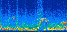 /calipso-imagery/data/BROWSE/production/V5-00/2011-03-20/2011-03-20_00-08-37_V5.00_3_thmb.png image missing