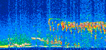 /calipso-imagery/data/BROWSE/production/V5-00/2011-03-20/2011-03-20_05-05-18_V5.00_2_thmb.png image missing