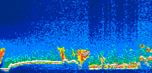 /calipso-imagery/data/BROWSE/production/V5-00/2011-03-20/2011-03-20_08-23-04_V5.00_1_thmb.png image missing