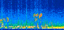 /calipso-imagery/data/BROWSE/production/V5-00/2011-03-20/2011-03-20_08-23-04_V5.00_2_thmb.png image missing
