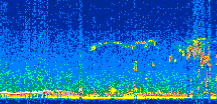 /calipso-imagery/data/BROWSE/production/V5-00/2011-03-28/2011-03-28_02-37-58_V5.00_2_thmb.png image missing