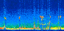 /calipso-imagery/data/BROWSE/production/V5-00/2011-03-28/2011-03-28_09-13-34_V5.00_2_thmb.png image missing