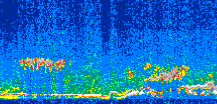 /calipso-imagery/data/BROWSE/production/V5-00/2011-03-28/2011-03-28_20-45-46_V5.00_3_thmb.png image missing