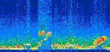 /calipso-imagery/data/BROWSE/production/V5-00/2011-03-30/2011-03-30_00-46-54_V5.00_3_thmb.png image missing