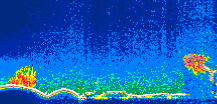 /calipso-imagery/data/BROWSE/production/V5-00/2011-04-02/2011-04-02_11-11-30_V5.00_1_thmb.png image missing