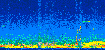 /calipso-imagery/data/BROWSE/production/V5-00/2011-04-03/2011-04-03_08-37-08_V5.00_2_thmb.png image missing