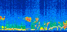 /calipso-imagery/data/BROWSE/production/V5-00/2011-04-03/2011-04-03_15-12-44_V5.00_3_thmb.png image missing