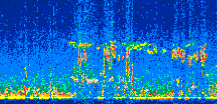 /calipso-imagery/data/BROWSE/production/V5-00/2011-04-09/2011-04-09_03-04-01_V5.00_2_thmb.png image missing