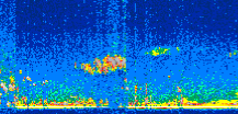 /calipso-imagery/data/BROWSE/production/V5-00/2011-04-09/2011-04-09_09-39-32_V5.00_2_thmb.png image missing