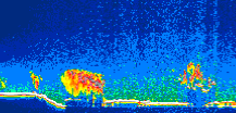 /calipso-imagery/data/BROWSE/production/V5-00/2011-04-09/2011-04-09_12-57-23_V5.00_1_thmb.png image missing