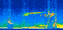 /calipso-imagery/data/BROWSE/production/V5-00/2011-04-09/2011-04-09_12-57-23_V5.00_2_thmb.png image missing