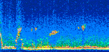/calipso-imagery/data/BROWSE/production/V5-00/2011-04-13/2011-04-13_01-00-44_V5.00_2_thmb.png image missing