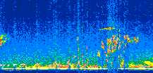 /calipso-imagery/data/BROWSE/production/V5-00/2011-04-13/2011-04-13_07-36-20_V5.00_2_thmb.png image missing