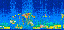 /calipso-imagery/data/BROWSE/production/V5-00/2011-04-14/2011-04-14_06-40-48_V5.00_2_thmb.png image missing