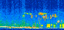 /calipso-imagery/data/BROWSE/production/V5-00/2011-04-14/2011-04-14_13-16-19_V5.00_2_thmb.png image missing