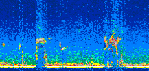 /calipso-imagery/data/BROWSE/production/V5-00/2011-04-17/2011-04-17_00-36-22_V5.00_2_thmb.png image missing