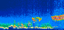 /calipso-imagery/data/BROWSE/production/V5-00/2011-04-17/2011-04-17_23-40-50_V5.00_1_thmb.png image missing