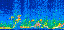 /calipso-imagery/data/BROWSE/production/V5-00/2011-04-21/2011-04-21_01-50-54_V5.00_3_thmb.png image missing