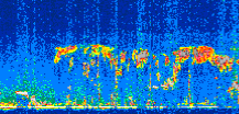/calipso-imagery/data/BROWSE/production/V5-00/2011-04-21/2011-04-21_03-29-50_V5.00_2_thmb.png image missing