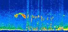 /calipso-imagery/data/BROWSE/production/V5-00/2011-04-21/2011-04-21_05-08-45_V5.00_2_thmb.png image missing