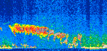 /calipso-imagery/data/BROWSE/production/V5-00/2011-04-21/2011-04-21_23-16-32_V5.00_3_thmb.png image missing