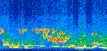 /calipso-imagery/data/BROWSE/production/V5-00/2011-04-25/2011-04-25_01-26-37_V5.00_3_thmb.png image missing