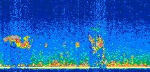 /calipso-imagery/data/BROWSE/production/V5-00/2011-04-26/2011-04-26_02-10-00_V5.00_2_thmb.png image missing