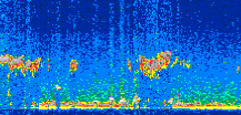 /calipso-imagery/data/BROWSE/production/V5-00/2011-04-26/2011-04-26_23-35-33_V5.00_2_thmb.png image missing
