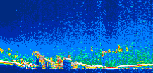 /calipso-imagery/data/BROWSE/production/V5-00/2011-04-27/2011-04-27_07-50-04_V5.00_1_thmb.png image missing