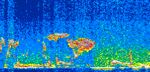 /calipso-imagery/data/BROWSE/production/V5-00/2011-04-27/2011-04-27_17-43-21_V5.00_3_thmb.png image missing
