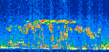 /calipso-imagery/data/BROWSE/production/V5-00/2011-05-05/2011-05-05_16-54-36_V5.00_2_thmb.png image missing