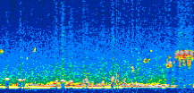 /calipso-imagery/data/BROWSE/production/V5-00/2011-05-05/2011-05-05_21-51-17_V5.00_2_thmb.png image missing