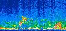 /calipso-imagery/data/BROWSE/production/V5-00/2011-05-05/2011-05-05_23-30-12_V5.00_3_thmb.png image missing