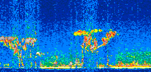/calipso-imagery/data/BROWSE/production/V5-00/2011-05-10/2011-05-10_00-44-40_V5.00_2_thmb.png image missing