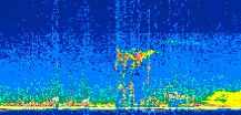 /calipso-imagery/data/BROWSE/production/V5-00/2011-05-10/2011-05-10_08-59-06_V5.00_2_thmb.png image missing