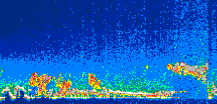 /calipso-imagery/data/BROWSE/production/V5-00/2011-05-10/2011-05-10_10-37-56_V5.00_1_thmb.png image missing