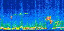 /calipso-imagery/data/BROWSE/production/V5-00/2011-05-10/2011-05-10_22-10-13_V5.00_2_thmb.png image missing