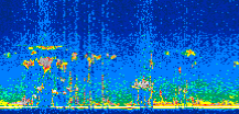 /calipso-imagery/data/BROWSE/production/V5-00/2011-05-13/2011-05-13_02-54-35_V5.00_2_thmb.png image missing