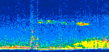 /calipso-imagery/data/BROWSE/production/V5-00/2011-05-13/2011-05-13_07-51-15_V5.00_2_thmb.png image missing