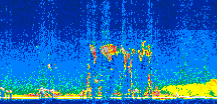 /calipso-imagery/data/BROWSE/production/V5-00/2011-05-13/2011-05-13_09-30-11_V5.00_2_thmb.png image missing
