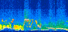 /calipso-imagery/data/BROWSE/production/V5-00/2011-05-13/2011-05-13_09-30-11_V5.00_3_thmb.png image missing
