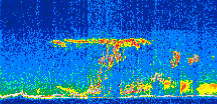 /calipso-imagery/data/BROWSE/production/V5-00/2011-05-13/2011-05-13_12-47-56_V5.00_2_thmb.png image missing