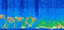 /calipso-imagery/data/BROWSE/production/V5-00/2011-05-13/2011-05-13_16-05-41_V5.00_3_thmb.png image missing