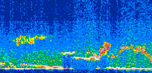 /calipso-imagery/data/BROWSE/production/V5-00/2011-05-13/2011-05-13_22-41-17_V5.00_3_thmb.png image missing