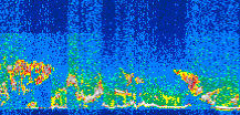 /calipso-imagery/data/BROWSE/production/V5-00/2011-05-16/2011-05-16_03-25-39_V5.00_3_thmb.png image missing