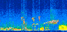 /calipso-imagery/data/BROWSE/production/V5-00/2011-05-16/2011-05-16_08-22-20_V5.00_2_thmb.png image missing