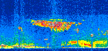 /calipso-imagery/data/BROWSE/production/V5-00/2011-05-16/2011-05-16_13-19-01_V5.00_2_thmb.png image missing